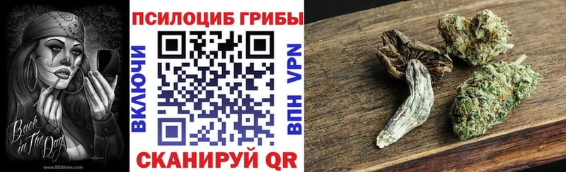 купить наркотик  Чердынь  Галлюциногенные грибы Magic Shrooms 